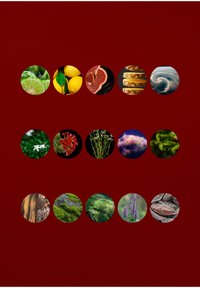 Colección de imágenes circulares que muestran frutas, flores, olas y texturas sobre un fondo rojo. Incluye tonos verdes, amarillos y marrones.