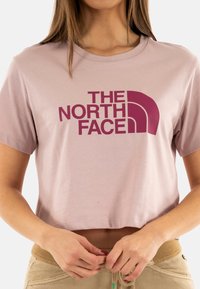 T-shirt croppato rosa chiaro in cotone, con un audace logo color marrone scuro "The North Face" sulla parte anteriore. Maniche corte, collo rotondo.