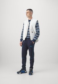 Balta piedurkņu veste virs tumši zilas un baltas svītraina gara piedurkņu krekla, apvienota ar tumši ziliem joggeriem. Melni un zili sporta apavi.
