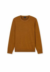 Brauner gestrickter Pullover mit langen Ärmeln, Rundhalsausschnitt, gerippten Bündchen und Saum, mit einem strukturierten Innenkragen.