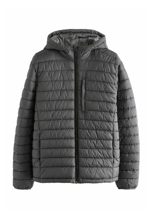 Veste d'hiver - grey