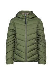 Unausgewählt, grün