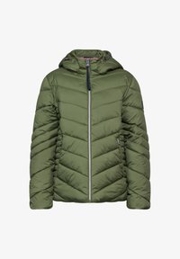 Non sélectionné, grün