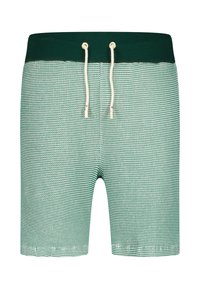 Green striped swim shorts with a solid green elastic waistband and contrasting drawstring. Made of lightweight fabric with a breathable texture.