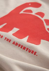 Next PLACEMENT PRINT CREW NECK- REGULAR FIT - Sweatshirt - stone red