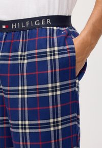 Modré kárované nohavice na voľný čas s jemnou textúrou. Obsahujú červené a biele pruhy, čierny pás s logom 'HILFIGER' a bočné vrecká.