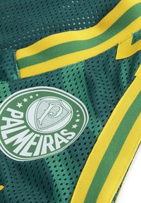 Vihreä verkko urheilupaita, jossa on keltaisia ja vihreitä raitoja. Siinä on suuri pyöreä Palmeiras-logo, jossa on valkoista tekstiä ja yksityiskohtia.