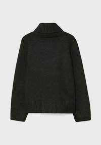Maglione a maglia verde scuro con un alto colletto a coste, maniche raglan e polsini e orlo a coste, con una superficie liscia.
