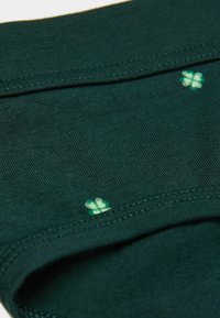 Tmavě zelená látka s hladkým povrchem, na které se nachází malé světle zelené vzory čtyřlístků. Elastický pas obšitý jemným stehem.