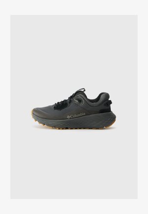 Columbia TERRASTRIDE CRZ - Hikingschuh - shark/black