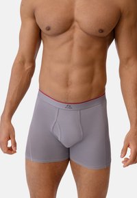 Boxer briefs grigie realizzate in tessuto elasticizzato, con una cintura rossa con logo e un design aderente. Texture liscia e lunghezza a metà coscia.