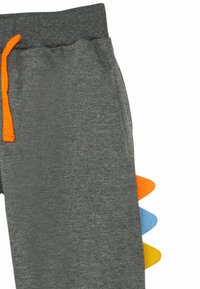 Graue Jogginghose mit elastischem Bund, ausgestattet mit einer orangefarbenen Kordel und bunten schuppenartigen Akzenten in Orange, Blau und Gelb.