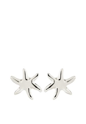 Een paar glanzende zilveren oorbellen in de vorm van een zeester met vijf onregelmatige armen op een witte achtergrond.