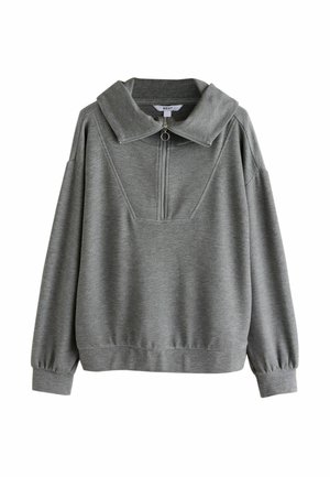 Grauer Sweatshirt mit langen Ärmeln, weitem Kragen und einem Reißverschluss vorne mit einem runden Zuganhänger.