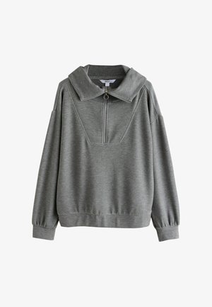 Next, REGULAR FIT - HALF ZIP JERSEY SWEATSHIRT - Sweatshirt - dark grey