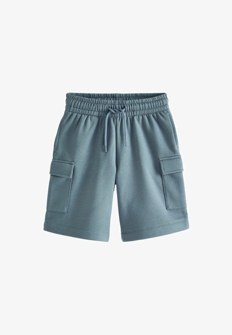 Next CARGO  REGULAR FIT - Short - teal
