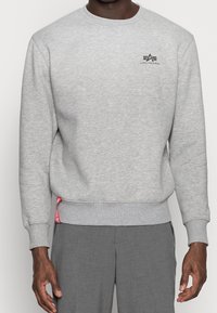 Felpa grigia in tessuto misto cotone, con scollo rotondo, polsini a costine e un piccolo logo sul petto. Superficie strutturata.