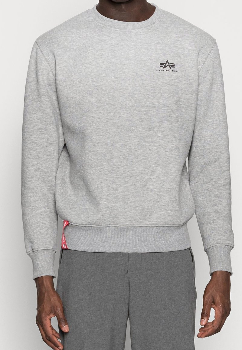 Felpa grigia in tessuto misto cotone, con scollo rotondo, polsini a costine e un piccolo logo sul petto. Superficie strutturata.