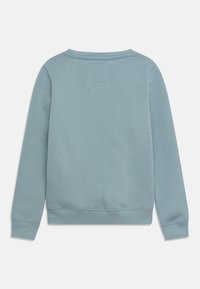 Felpa azzurra con collo a giro, polsini e orlo a coste. Materiale in cotone liscio, design semplice, senza motivi o accenti prominenti.