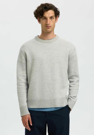 Giovane uomo con capelli ricci che indossa un maglione grigio chiaro sopra una camicia blu e pantaloni scuri, in piedi contro uno sfondo chiaro e uniforme.