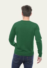 Pull en tricot vert avec un col rond, manches longues et texture lisse. Porté avec un jean bleu, vu de dos.