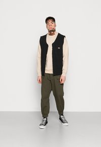 Dickies OAKPORT - Camisola - cement