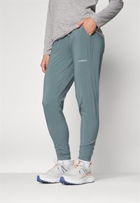 Patagonia TERREBONNE JOGGERS - Outdoorbroeken - nouveau green