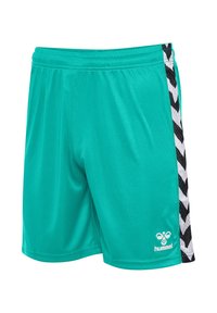 Turkosa sportshorts med ett svart och vitt zickzackmönster på sidorna. Tillverkade av lätt och mjukt tyg. Har en logotyp på fållen.