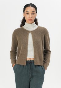 Brown, wool-blend cardigan with a round neckline, button closure at the front, and long sleeves, paired with a striped turtleneck and dark pants.