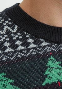 Temno modra jopica z rebrastim ovratnikom. Značilni so beli snežinki in zeleni božični drevesci v pletenem vzorcu. Teksturirana tkanina.