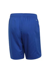 Modré sportovní šortky vyrobené z lehkého, prodyšného materiálu; mají elastický pas a hladkou texturu s minimálním šitím.