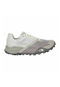 Hellgraues und beiges Gore-Tex Trailrunningschuh mit robustem Profil und dem The North Face-Logo im Zehenbereich, Seitansicht.