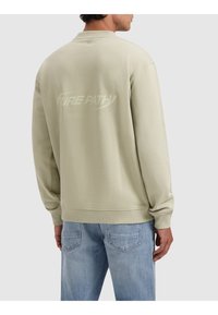 Lichtgroene sweatshirt met ronde hals, geribde manchetten en zoom. Inclusief bedrukt tekst op de achterkant in een contrasterende tint. Blauwe jeans zichtbaar.