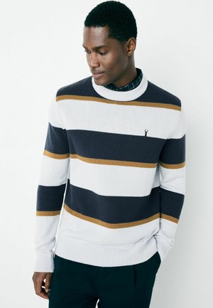 REGULAR FIT GINGHAM OXFORD MOCK  - Strickpullover - navy white camel stripe