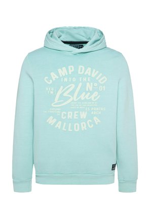 Light blue hoodie made of cotton blend featuring a front graphic print with text. Kangaroo pocket and ribbed cuffs. Smooth texture.