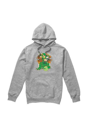 Warner Brothers, DC GREEN ARROW STARS - Kapuzenpullover - mottled light grey