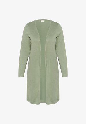 Cardigan deschis, cu mâneci lungi, de culoare verde deschis, cu tiv drept și textură moale din tricot.