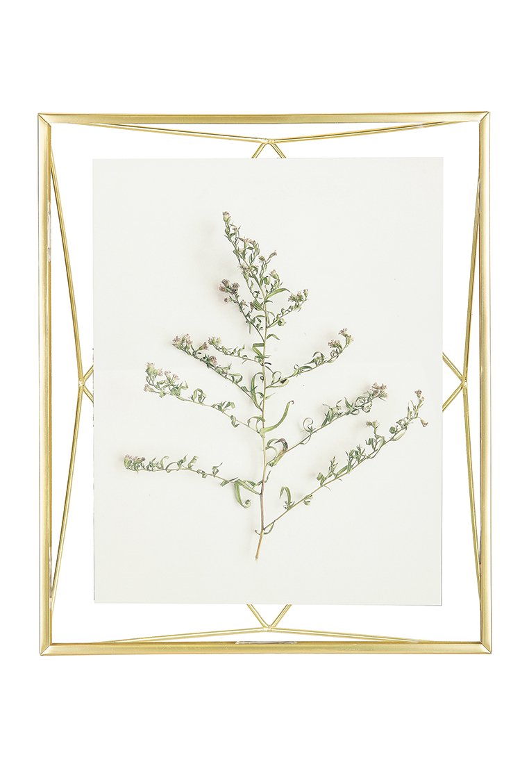 Impression botanique encadrée mettant en avant une tige verte mince avec des feuilles délicates et de petites fleurs roses sur un fond blanc, dans un cadre géométrique doré.