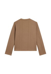 Suéter marrón de punto con mangas largas, que presenta un patrón texturizado de cable y cuello redondo. Vista trasera que muestra un diseño de longitud recortada.