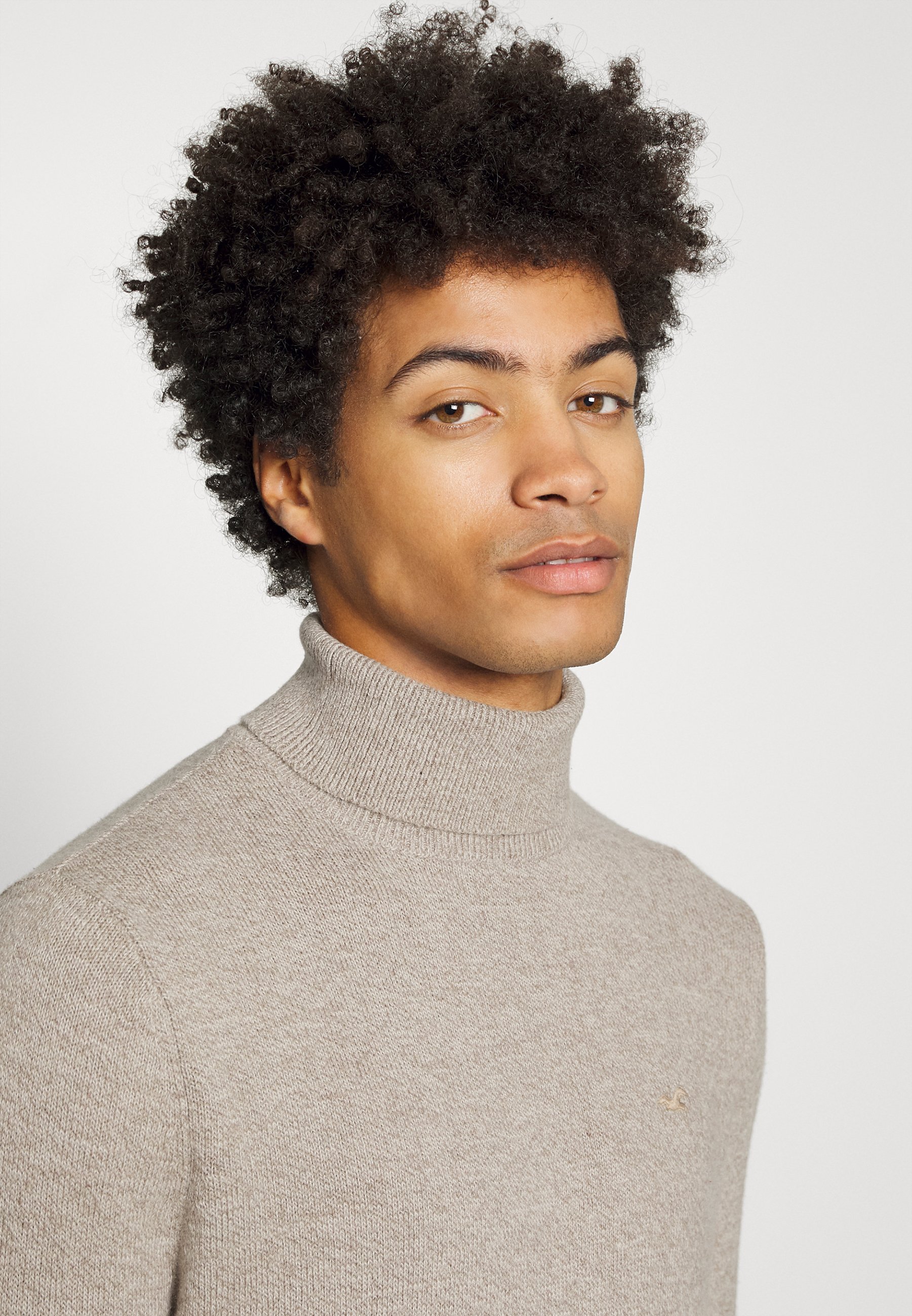 Hollister Co. TURTLENECK - Jumper 
