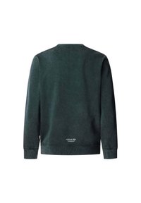 Sudadera de manga larga verde oscuro hecha de tela suave. Presenta un escote redondo, puños acanalados y un pequeño logo en el dobladillo inferior trasero.