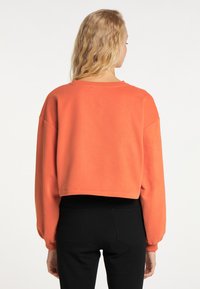 Pulover scurt cu mânecă lungă, de culoare portocalie strălucitoare, având un guler rotund și manșete cu nervuri. Purtați-l cu pantaloni ajustați negri.