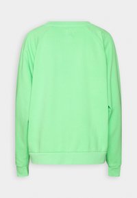 Sweat-shirt uni vert clair à manches longues et col rond, vu de dos avec poignets et ourlet côtelés.