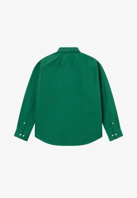 Camicia verde a maniche lunghe con un motivo a righe verticali, colletto a punta e polsini con bottoni. Tessuto liscio con una vestibilità regolare e orlo curvo.