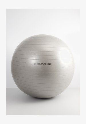 Silberne exercising Ball mit einer glatten, leicht strukturierten Oberfläche. Verfügt über horizontale Rillen und das Wort "ENDURANCE" in Schwarz gedruckt.