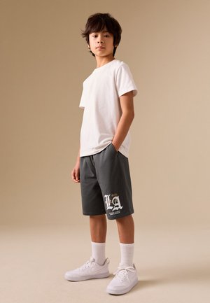 Next, REGULAR FIT - LOOSE FIT SHORTS  . - Lühikesed püksid - charcoal grey la