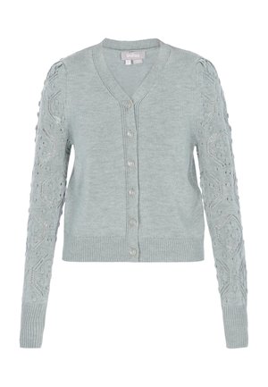 Lichtblauwe cardigan met een V-hals, voorzien van decoratieve breipatronen op de mouwen, knoopsluiting en geribbelde boorden en zoom.