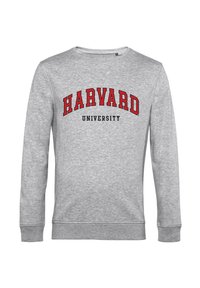Šedá mikina vyrobená z bavlněné směsi, která má archovaný červený grafický nápis "HARVARD UNIVERSITY" tučným černým písmem. Klasický design s kulatým výstřihem.