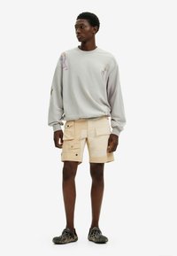 Desigual Sweatshirt - grey