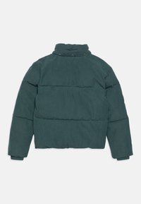 Calvin Klein Jeans HOODED PUFFER - Ziemas jaka - north atlantic